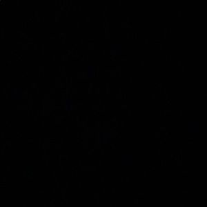 Meet your Posher, Sophie